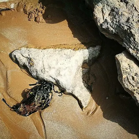 A Dimora Di Nene * Marina di Modica
